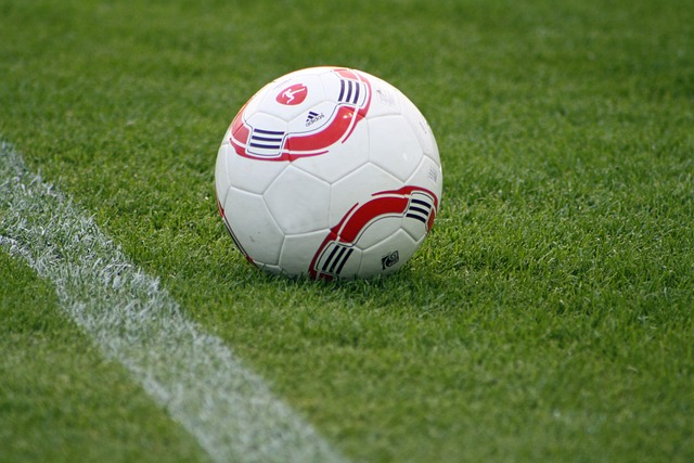 生涯是否对 生涯是否对