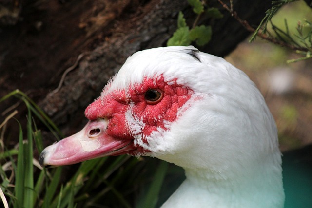 不断前进的 不断前进的