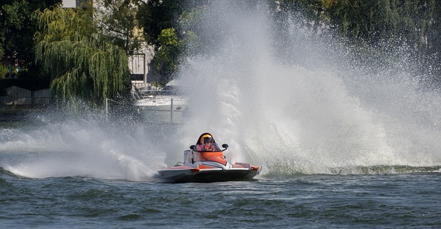 它展示了 它展示了
